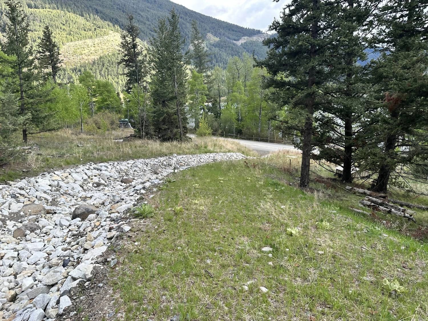 Channel Revegetated